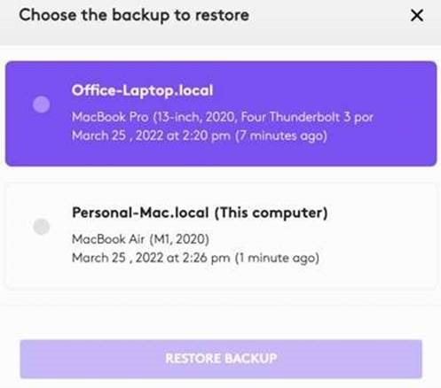 Selecteer de back-up om de instellingen te herstellen