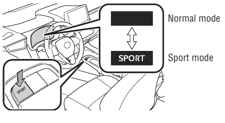 SPORTMODUS
