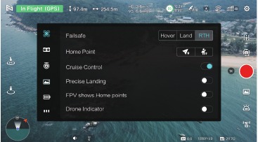 Cruise Control Switch