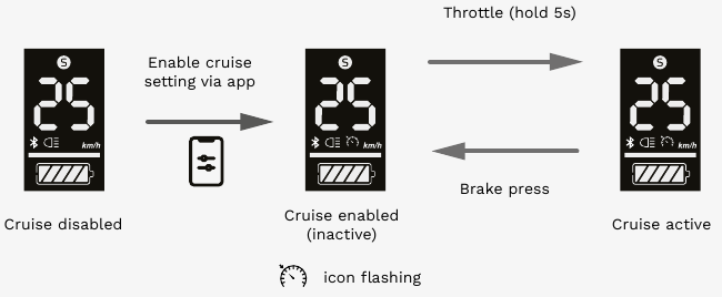 Het display gebruiken - Cruise control
