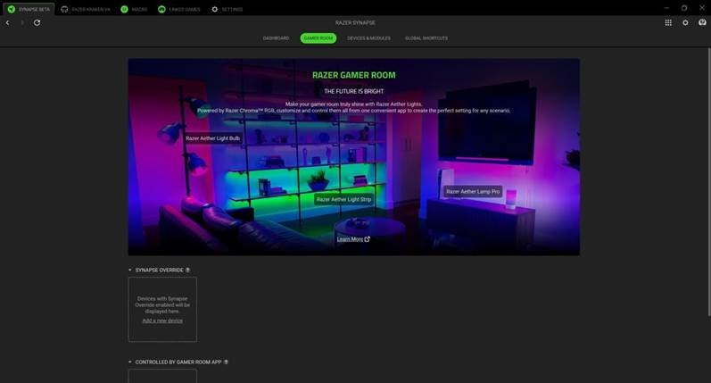 SYNAPSE -Gamer Room 