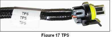 Gaskleppositiesensor (TPS) 