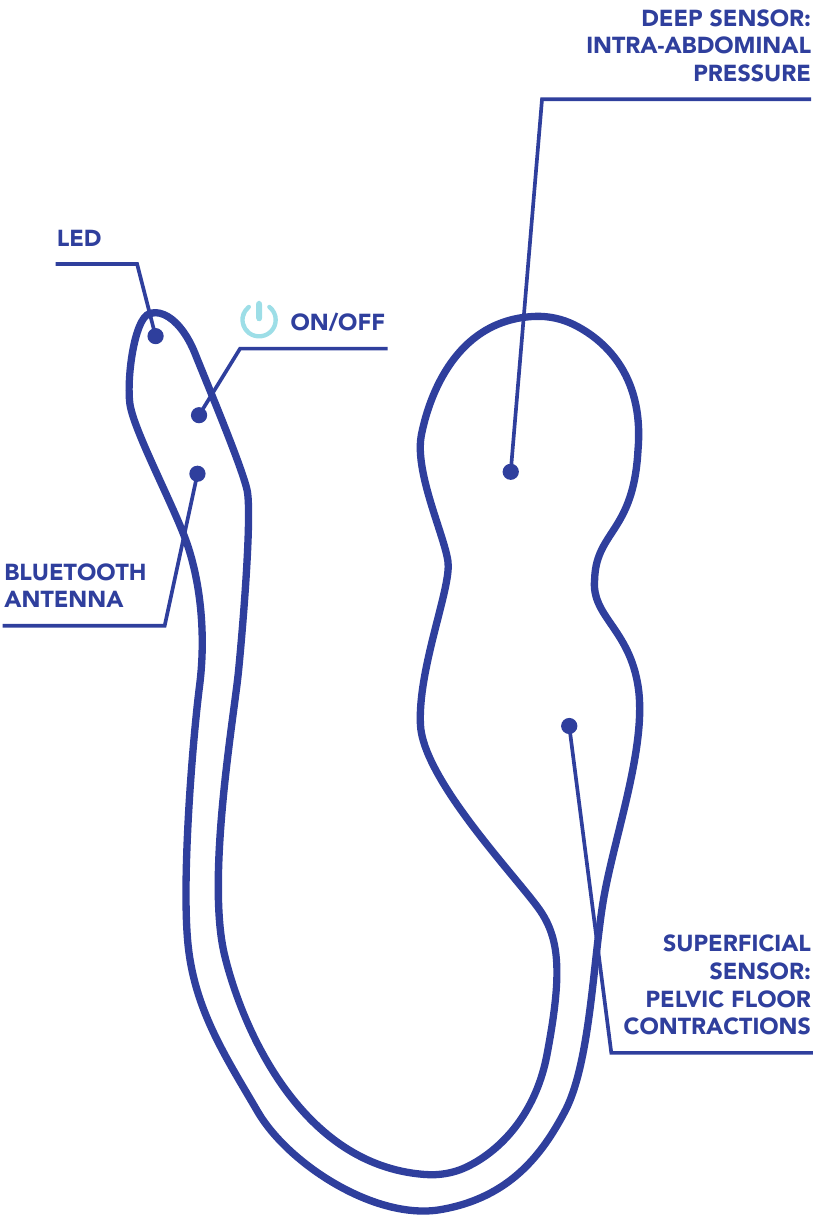 Productoverzicht