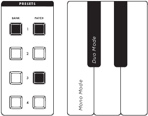 VERBORGEN PARAMETERS - DUO MODE - VOICE MODE