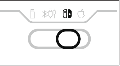 Aansluiting - Gebruik op Switch - Stap 2