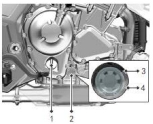 MOTOROLIE-INSPECTIE EN -VERVANGING