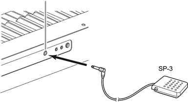Achterkant