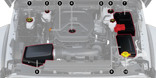 OVERZICHT MOTORCOMPARTIMENT