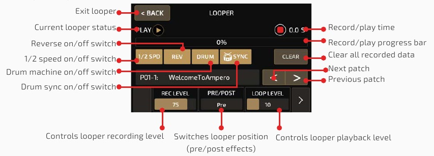 LOOPER