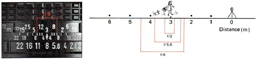 SCHERPTEDIEPTEGIDS