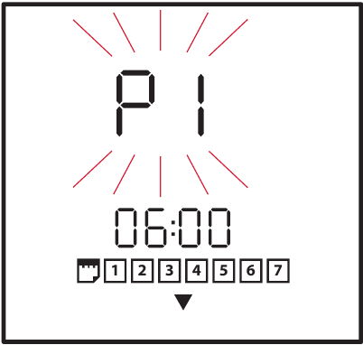 Tijdsinterval P1 wijzigen