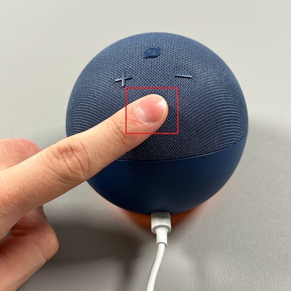 De actieknop ingedrukt houden op Echo Dot