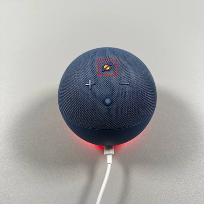 Amazon Echo Dot microfoon mute knop