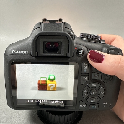 De ontspanknop half indrukken om scherp te stellen met Canon EOS 2000D