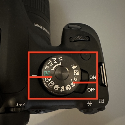 Canon-camera in automatische modus