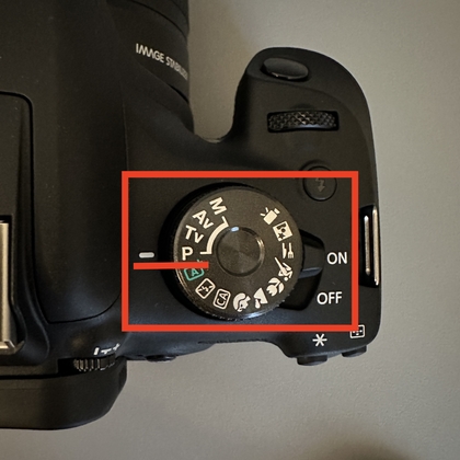 Canon-camera overschakelen naar programmastand