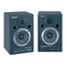Roland DM-10 - Digitale Stereo Micro Monitor Handleiding