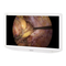 Monitoren Sony LMD-X2705MD Gebruiksaanwijzing