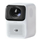 Wanbo T4 Handleiding