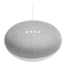 Google Home Mini handleiding