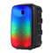 ProScan PA689 - Flaming LED Lights 6.5