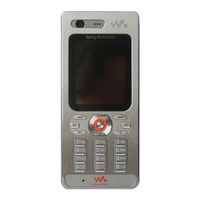 Sony Ericsson W880i Gebruiksaanwijzing