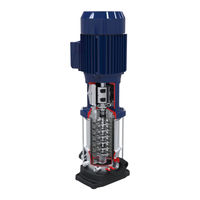 DP Pumps DPLHS Series Handleiding