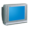 TV's Samsung CW-21A113N Gebruikershandleiding