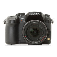 Panasonic Lumix DMC-GH3 Gebruiksaanwijzing