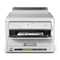 Alles-in-één printers Epson WorkForce WF-C5390 Series Gebruikershandleiding