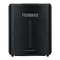 Roland BA-330 - Stereo Draagbare Versterker Handleiding