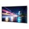 Monitoren NEC MultiSync P703 Gebruikershandleiding