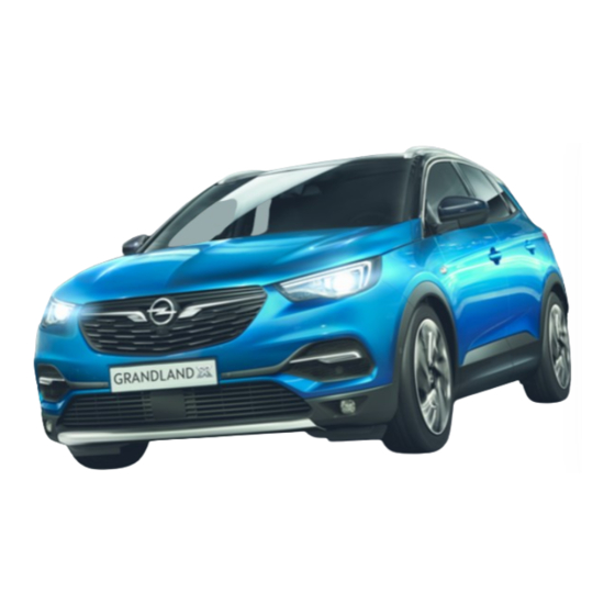 Opel Grandland X 2017 Gebruikershandleiding