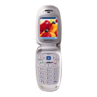 Samsung SGH-X450CSA Handleiding