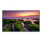 TV's Samsung QB43B Gebruikershandleiding