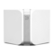 Bluesound N100 - Snelstartgids voor draadloze streaming muziekspeler