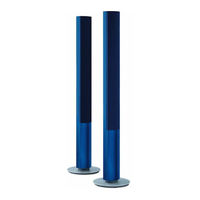 Bang & Olufsen BeoLab 1 Gebruikershandleiding