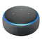 Amazon Echo Dot - Handleiding voor multimedialuidspreker