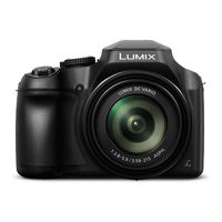 Panasonic LUMIX DC-FZ83 Gebruiksaanwijzing