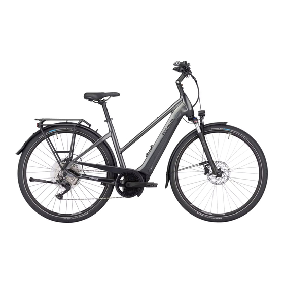Bosch PEGASUS Premio Evo 11 Gebruikshandleiding
