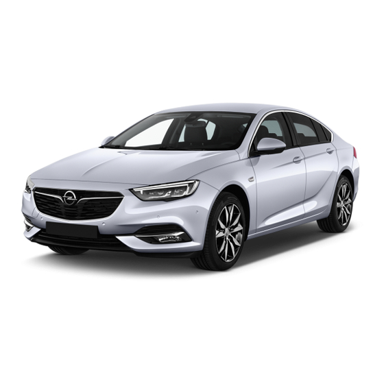 Opel Insignia 2019 Gebruikershandleiding