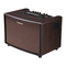 Roland AC-60 Acoustic Chorus Guitar Amplifier Handleiding