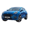 Ford PUMA 2012