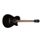Ibanez ACOUSTIC GUITAR handleiding
