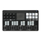 Korg nanoKEY Studio (EFGSJ 4) Handleiding
