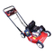 Toro ProLine 53