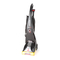 Bissell ProHeat Advanced 1846 Series Dieptereiniger Handleiding