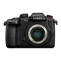 Panasonic Lumix DC-GH5S Gebruiksaanwijzing