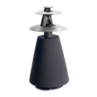 Bang & Olufsen BeoLab 5 Gebruikershandleiding