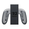 Nintendo Joy-Con 2, FXA-BEE-A-ESS-ENCZHUPLSK-WWW0 Handleiding